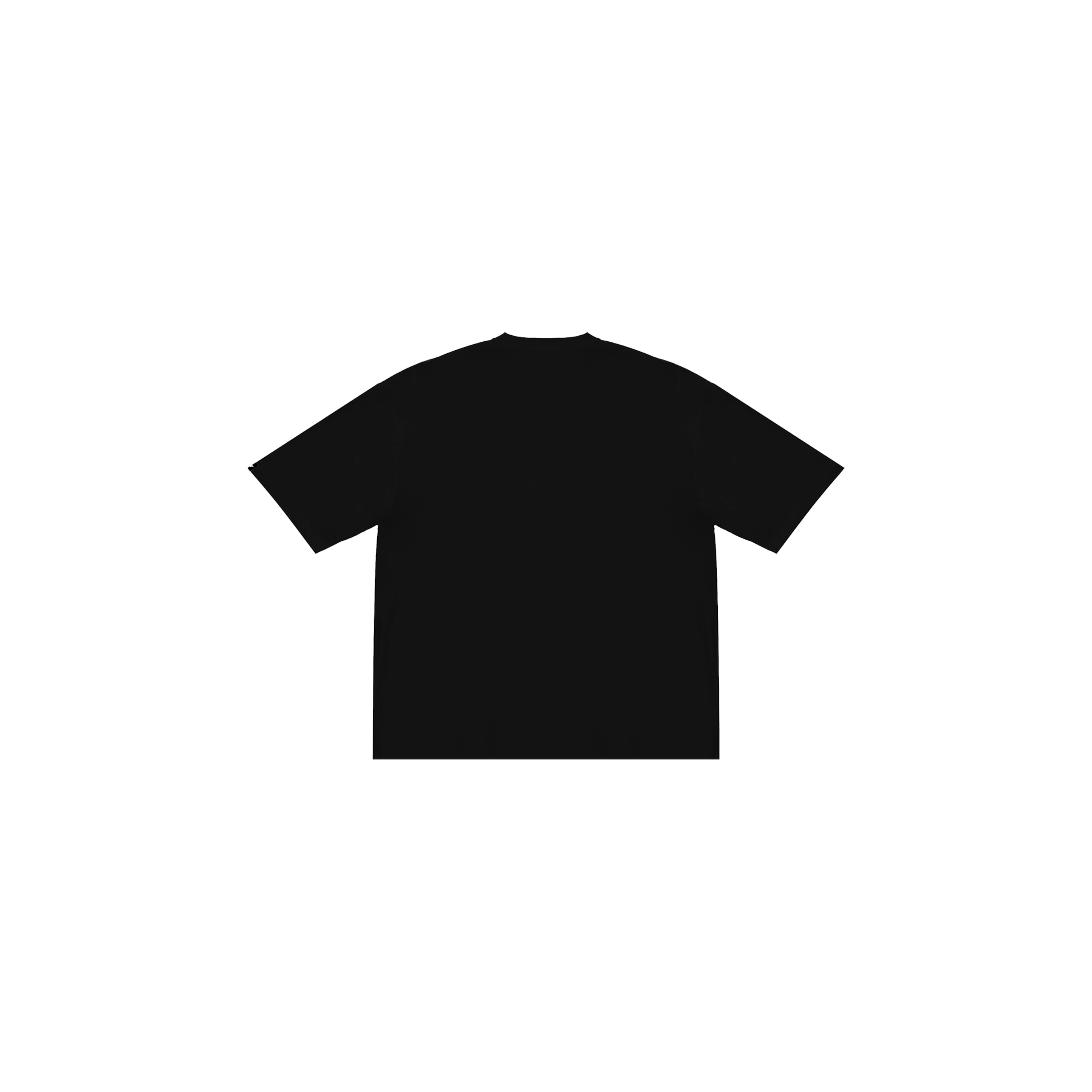 "www" Tee in Black Colorway