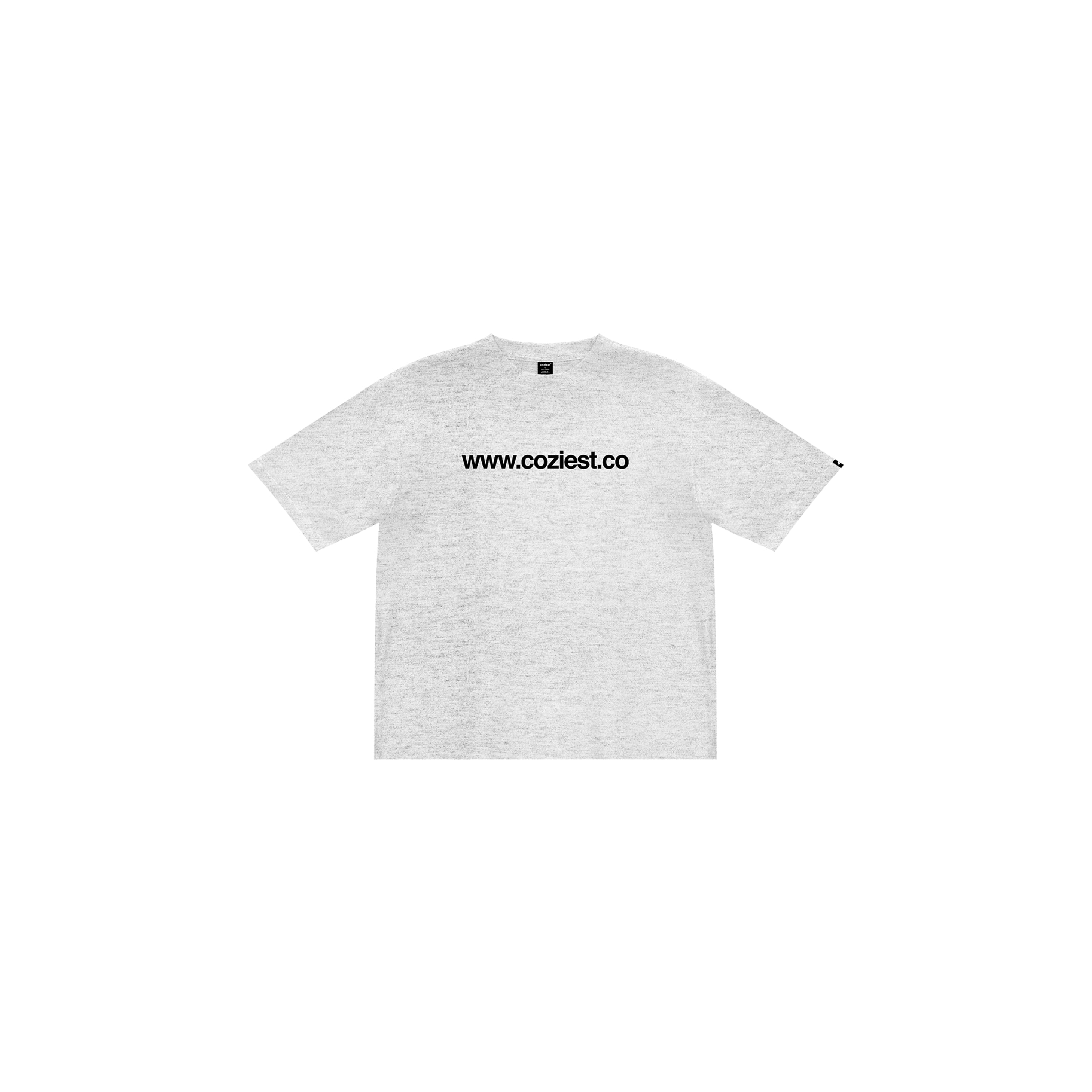 "www" Tee in Gray Colorway