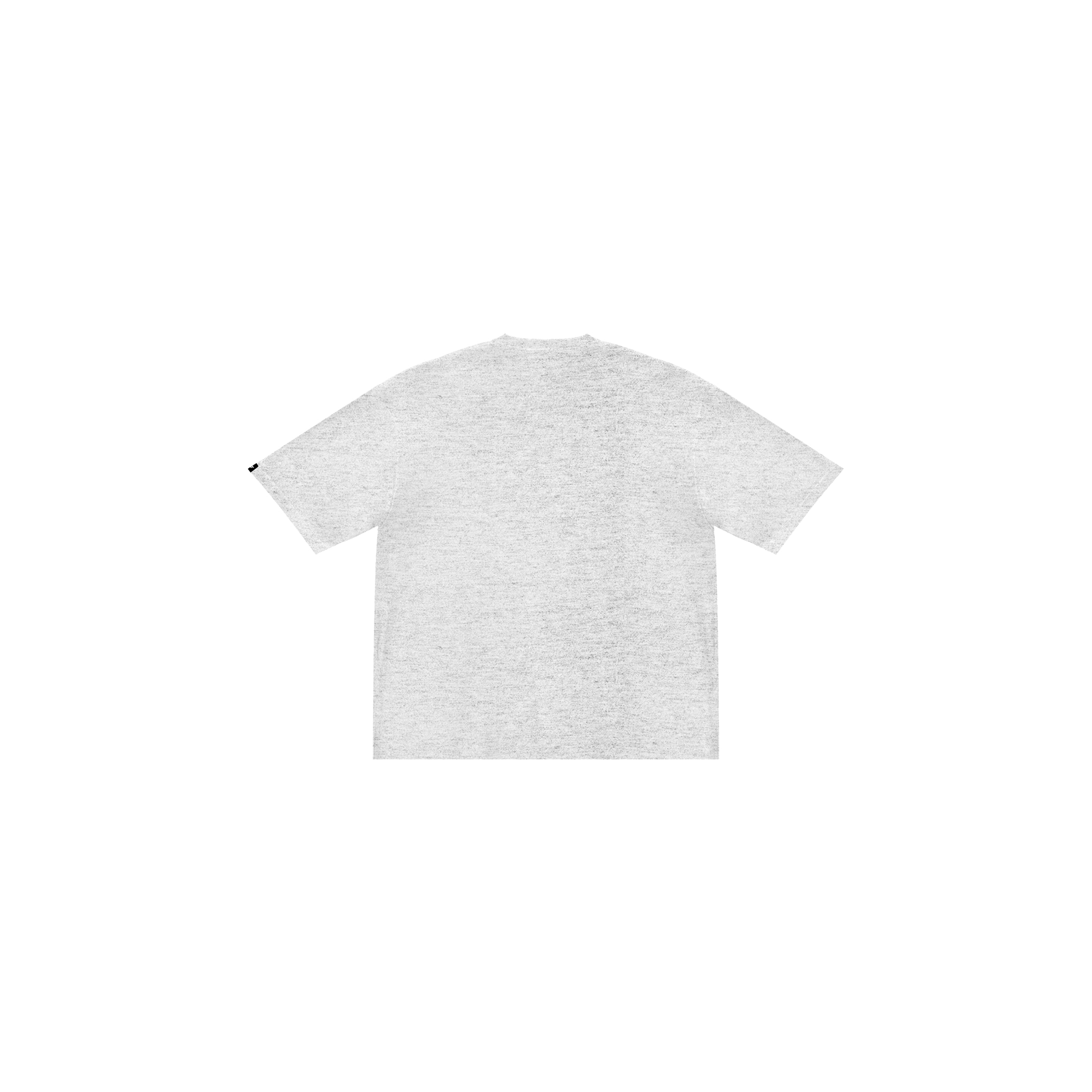 "www" Tee in Gray Colorway