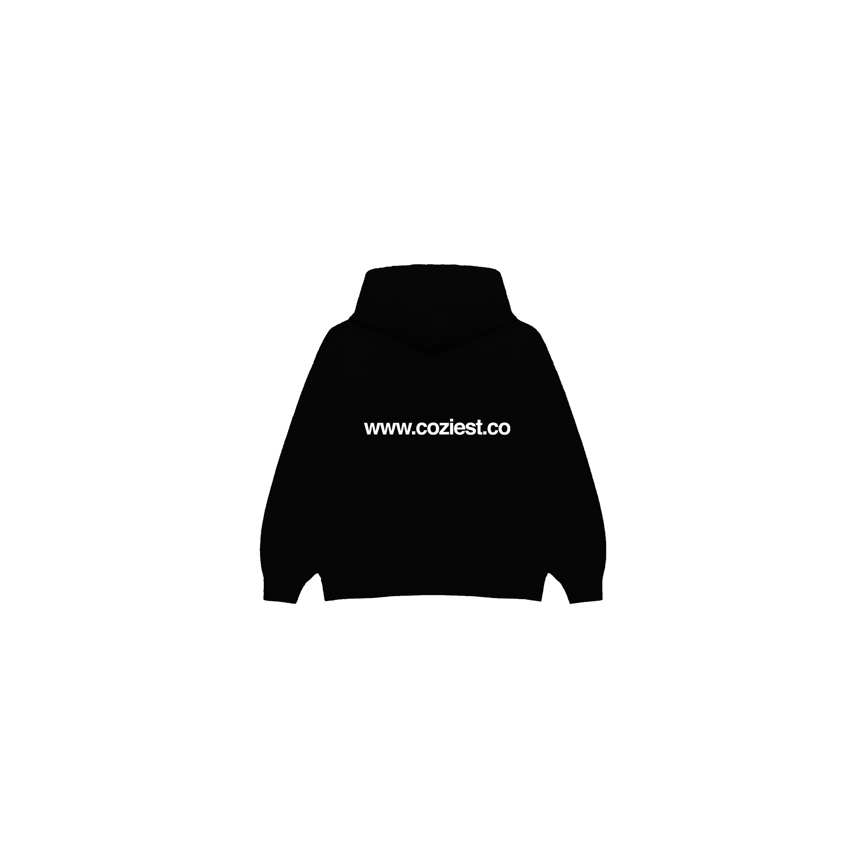 "www" Hoodie in Black Colorway