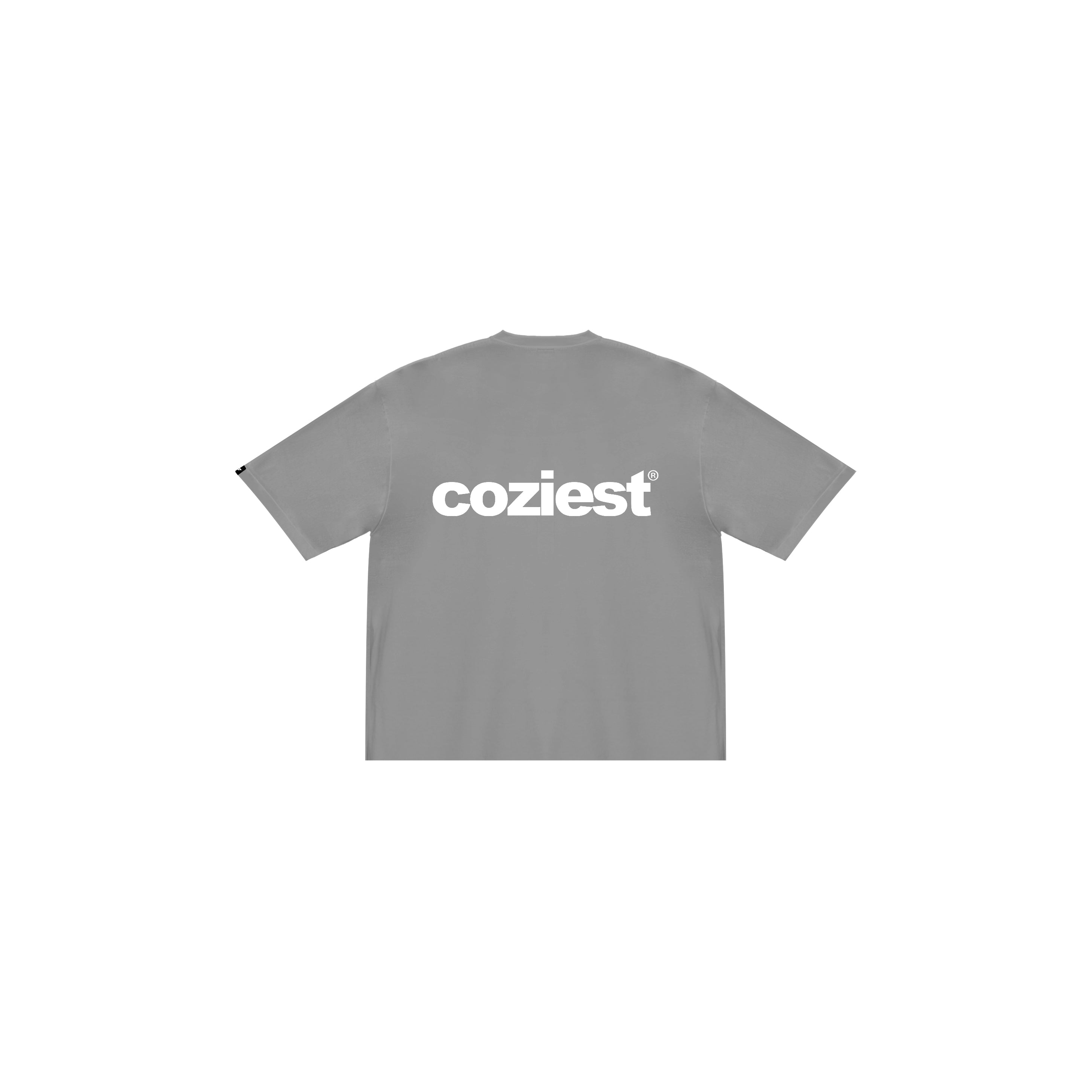 Classic "Reimagined" Tee in Gray Colorway