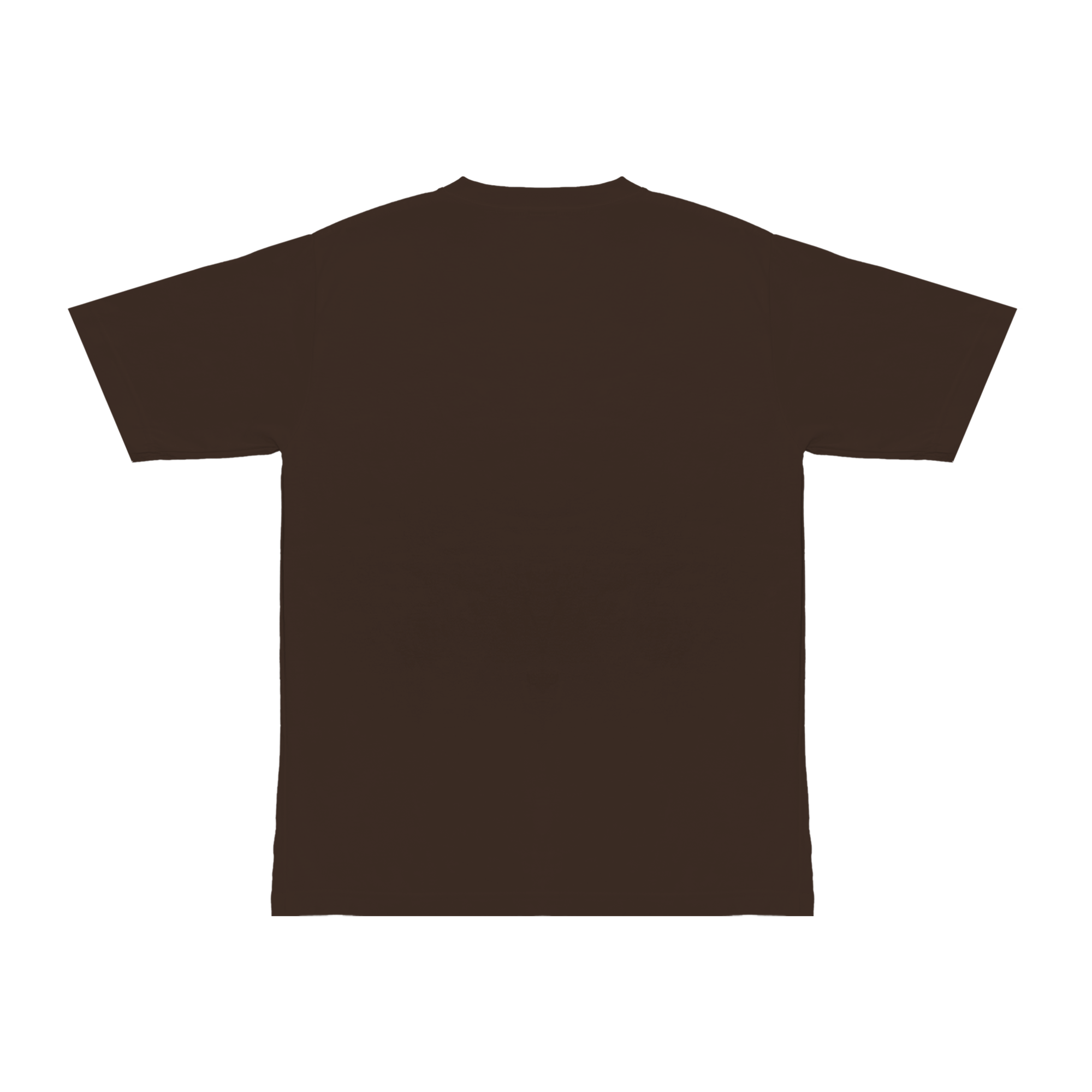 "College" Tee in Brown Colorway