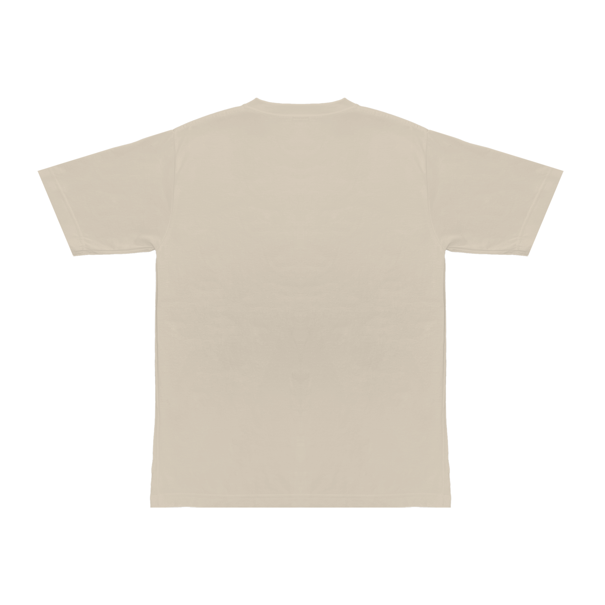 "College" Tee in Off-White Colorway